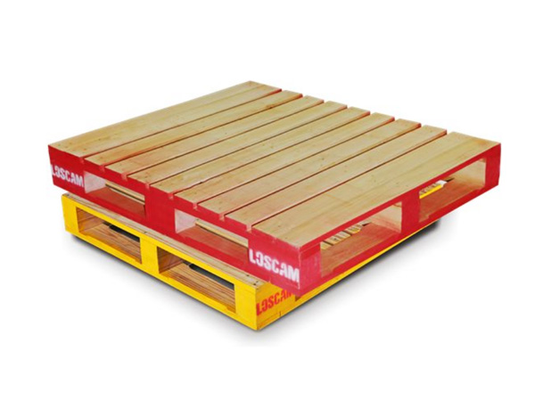 �}�����D�бP