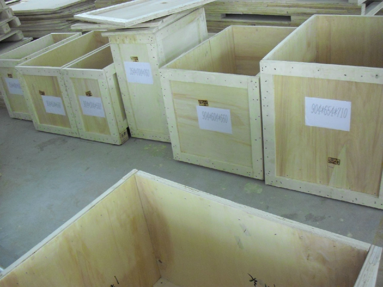 Ѭ��ľ��չʾ